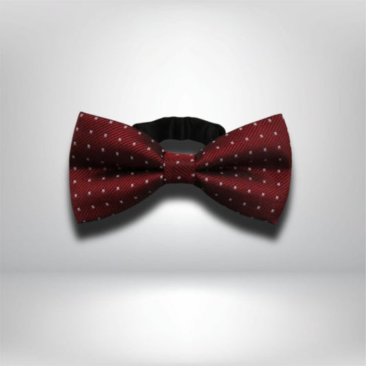 Noeud Papillon Bordeaux Homme